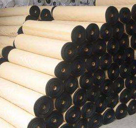 2023032330661255.jpg 2023032330661255.jpg